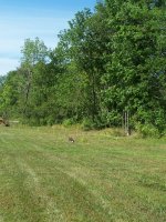 100_0693.JPG