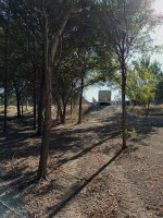 IMG_7728.jpeg