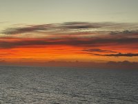 IMG_6609.jpeg