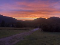 IMG_3458.jpeg