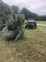 IMG_3460.jpeg