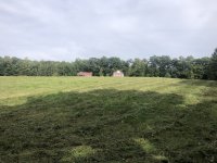 IMG_3461.jpeg