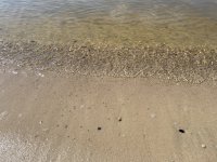 IMG_2249.JPG