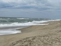 IMG_2262.JPG