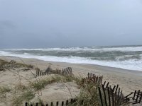 IMG_2279.JPG