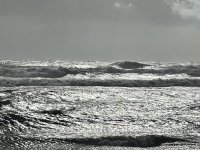 IMG_2300.JPG
