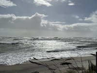IMG_2299.JPG