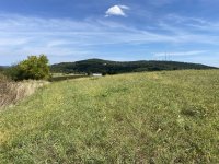 IMG_6019.jpeg