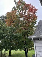 IMG_1048.jpeg