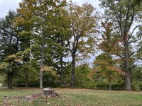 IMG_1135.jpeg