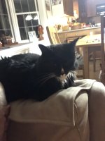 IMG_3493.jpeg