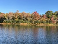 IMG_7580.jpeg