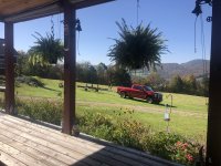 IMG_3505.jpeg