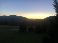 IMG_3506.jpeg