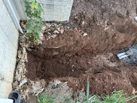 IMG_1487.jpeg