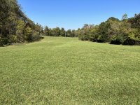 IMG_1514.jpeg