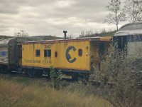 IMG_1695.jpeg