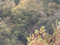 IMG_1673.jpeg
