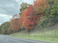 IMG_1704.jpeg