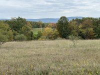 IMG_1734.jpeg