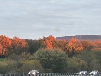 IMG_1748.jpeg