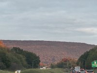 IMG_1749.jpeg