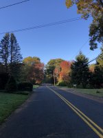 IMG_3581.jpeg