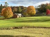 IMG_1850.jpeg