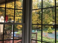 IMG_3587.jpeg