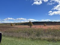 IMG_1956.JPG