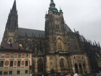 IMG_1049.jpeg