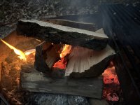 IMG_2041.jpeg