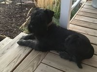 IMG_0797.jpeg