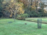IMG_2497[1].JPG