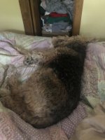 IMG_8259.jpeg