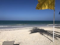 IMG_3619.jpeg