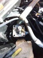 IMG_20231102_113056.jpg