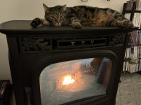 IMG_2206.jpeg