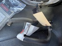 IMG_2517[1].JPG