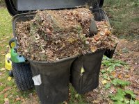 IMG_2515[1].JPG