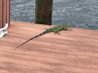 IMG_2572.JPG