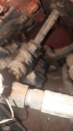 hose2[1].jpg