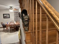 IMG_2408.jpeg
