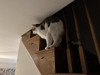 IMG_2402.jpeg