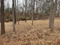 IMG_0269.jpeg