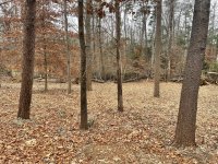 IMG_0271.jpeg