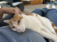 IMG_2761.jpeg