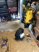 IMG_3695.jpeg