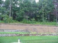 backyard1.JPG