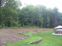 backyard2.JPG